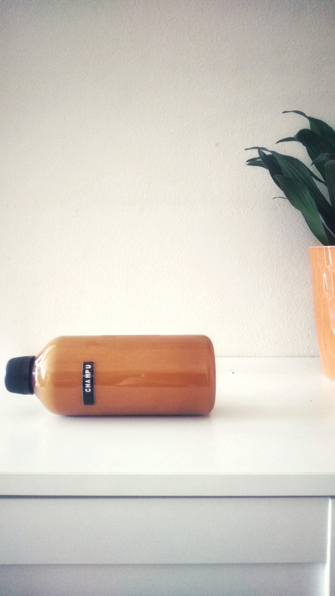 champu aloe vera sin sulfatos