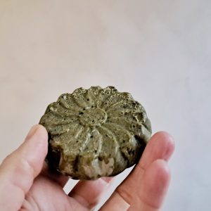 champú sólido